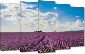 Vászonkép 100x60 Levendulamező Levendula