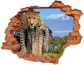 3d-s lyuk vizuális effektusok matrica Leopard egy fatönkön nd-c-66888484