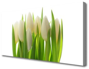 Vászonkép Plant tulipánok Természet 120x60 cm