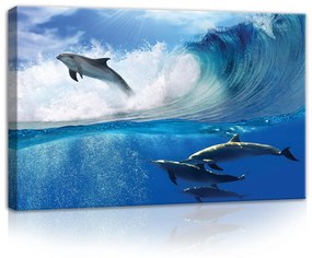 Delfinek, vászonkép, 60x40 cm méretben