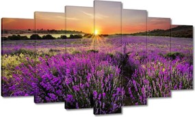 Vászonkép 140x80 Levendula rét