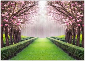 Poszterek 70x50 Gyönyörű virágok a nappaliba