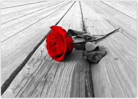 Poszterek 70x50 Rózsa Valentin napi ajándék