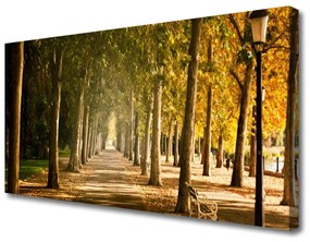 Canvas kép Alley Park Landscape 100x50 cm