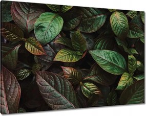 Vászonkép 100x70 Trópusi levelek Levelek