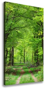 Feszített vászonkép Zöld erdő ocv-104709227