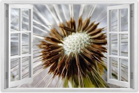 Poszterek 90x60 Pitypang Virág Virágok