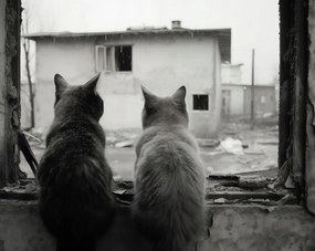 Poszter 76x60,5cm Gondolatok az elhagyatott küszöbről