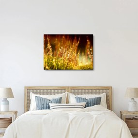 Kép - Harmat részlete (70x50 cm)