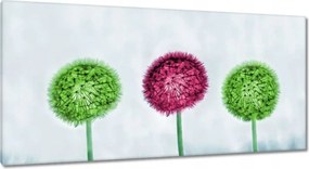 Vászonkép 115x55 Színes pitypangok