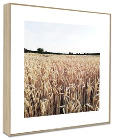 Kép 30x30 cm Aesthetic