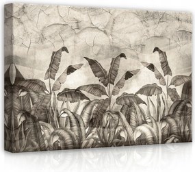 Vászonkép 70x50 Trópusi levelek dzsungel szürke textúra természet nyugalom botanika