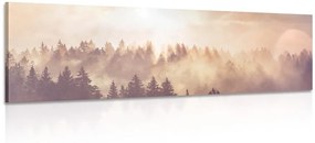 Kép köd az erdő felett
