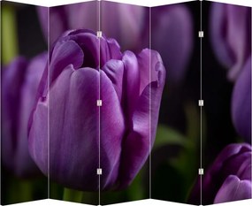 Paraván - Tulipán vírága (210x170 cm)