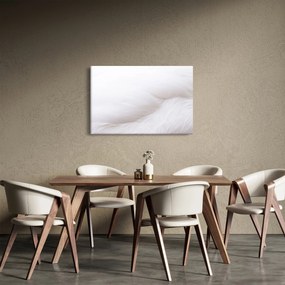 Kép - Fehér toll (90x60 cm)