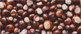 Kép - Érett gesztenye (120x50 cm)