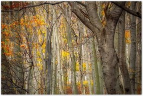 Poszterek 120x80 Tájkép Látvány