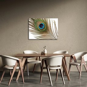 Pávatoll képe (70x50 cm)