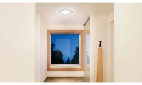 Steinel 052539 - LED Mennyezeti lámpa érzékelővel LED/9,5W/230V