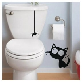 Cat And Spider falmatrica - Ambiance