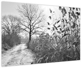 Kép - Mezők télen (90x60 cm)