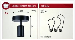 Paulmann 79760 - Mennyezeti lámpa HALDOR 1xE27/20W/230V