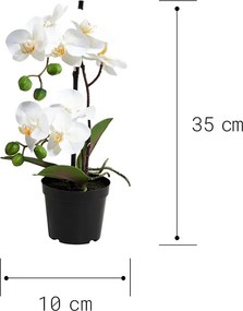FLORISTA cserepes orchidea, 35 cm