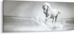 Kép - Fehér ló (120x50 cm)