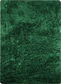 Shaggy Szőnyeg Zöld 120X170 CM Puha Plüss Hálószoba Divatos Vastag