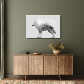 Kép - Vad tájat tükröző sarkvidéki farkas, fekete-fehér (90x60 cm)
