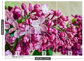 Fotótapéta rózsaszín liliom 104x70 cm