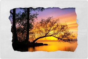 Poszterek 120x80 Fák Naplemente
