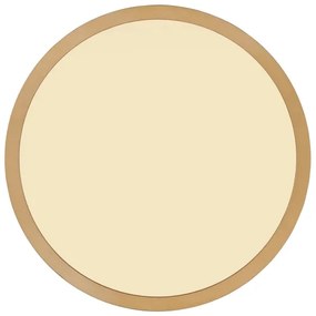 Globo 41562-18MM - LED Dimmelhető mennyezeti lámpa SAPANA LED/18W/230V IP44