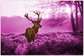 Poszterek 120x80 Szarvas a lila erdőben