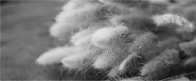 Kép - nyúlfarknyi fű az asztalon (120x50 cm)