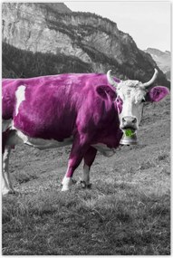 Poszterek 80x120 Lila tehén Emilka