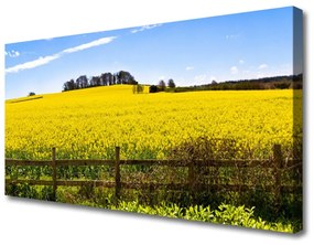 Vászonkép Plant Field Landscape 100x50 cm