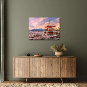 Kép - Fuji, Japán (70x50 cm)