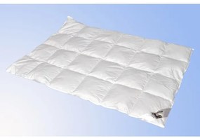 Tollpaplan standard pehelypaplannal TiaHome - 200x140cm