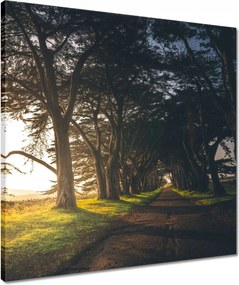 Vászonkép 50x50 Tájkép Látvány