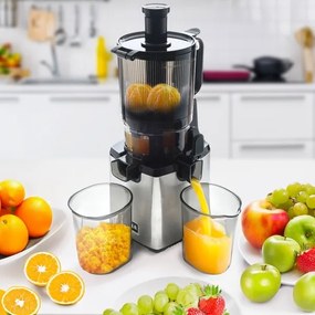 TESLA Electronics SlowJuicer Deluxe - Lassú facsaró 250W/230V rozsdamentes