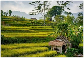 Poszterek 200x135 Tájkép Látvány