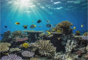 Stílusos Dekoratív Fotótapéta Flizelin Víz alatti világ 152x104 Ragasztó