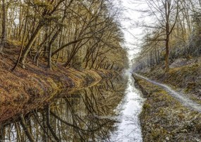 Poszter 29,7x21cm Csatorna az erdőben, Assaf Frank