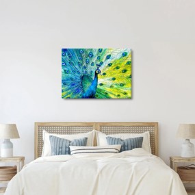 Páva képe (70x50 cm)