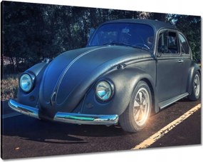 Képek 100x70 Volkswagen Bogár Bug