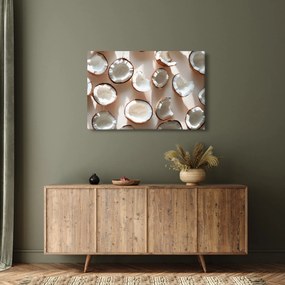 Kép - Kókuszdiók (90x60 cm)