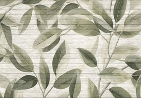 Fotótapéta zöld levelek gallyak ragasztó ingyen