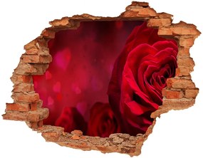 Fali matrica lyuk a falban Vörös rózsa szív nd-c-75608886