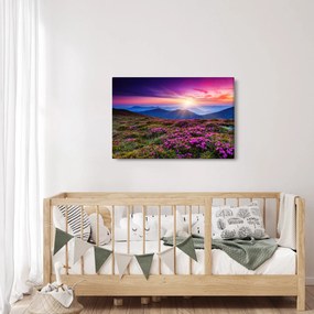 Kép - Hegyi virágzó táj (90x60 cm)
